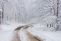 Winter snowfall has enveloped the entire space in the park with a white fluffy blanket, snow euphoria reigns in the air. Royalty Free Stock Photo