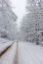 Winter snowfall has enveloped the entire space in the park with a white fluffy blanket, snow euphoria reigns in the air. Royalty Free Stock Photo