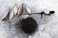 Winter fishing Royalty Free Stock Photo