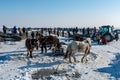 Winter fishing begins at Chagan Lake in Songyuan City, Jilin Province, China