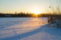 Winter fishing. Dawn in winter