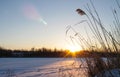 Winter fishing. Dawn in winter