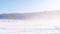 Winter fishing on a frozen lake. Fishermen with tents participate in a winter fishing competition. Fog over a frozen lake where Royalty Free Stock Photo