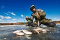 Winter fishing on ice. Roach fish catch in fisherman or angler hands Royalty Free Stock Photo