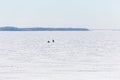 Winter fishing on the river or lake. The fishermen on the ice Royalty Free Stock Photo