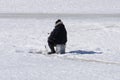 Winter fishing River, lake near forest in ice. Anglers, Fishermens during your favorite leisure time. With place for text, for squ Royalty Free Stock Photo