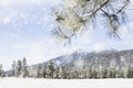 Winter Flagstaff Arizona Mountain Snowy Scene Royalty Free Stock Photo