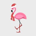 Winter flamingo in Santa hat and scarf. Christmas design for cards, backgrounds, fabric, wrapping paper. Merry Christmas