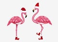 Winter flamingo in Santa hat and shoes. Christmas design for cards, backgrounds, fabric, wrapping paper. Merry Christmas