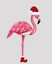 Winter flamingo in Santa hat and shoes. Christmas design for cards, backgrounds, fabric, wrapping paper. Merry Christmas