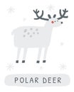 Winter flashcard. Learning English words for kids