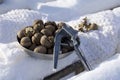 Winter flat lay with  walnut,   Nutcracker, white  plaid on  background Royalty Free Stock Photo