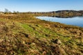 Winter flood debris in the wrack zone on the River Dee estuary at kirkcudbright