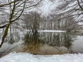 Winter Flood in Forest with Bare Tree Reflections in Water Royalty Free Stock Photo