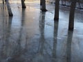 Winter flood- tree trunks in the frozen puddle Royalty Free Stock Photo