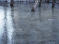 Winter flood- tree trunks in the frozen puddle Royalty Free Stock Photo