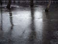 Winter flood- tree trunks in the frozen puddle Royalty Free Stock Photo