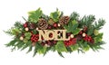 Winter Flora and Noel Decoration Royalty Free Stock Photo