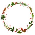 Winter Flora Wreath Garland Royalty Free Stock Photo