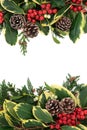 Winter Floral Border Royalty Free Stock Photo