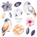 Winter floral collection with 11 watercolor elements. Royalty Free Stock Photo
