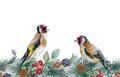 Winter floral seamless border. Two goldfinch birds on endless flower decoration. Seasonal seamless border and wild
