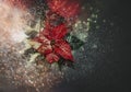 Christmas poinsettia on a dark background in glitter and in bokeh.