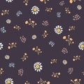 Winter Flower Daisy Motif on Dark Brown Background. Naive Ditsies Floral Petal Marguarite . Seamless Pattern with Delicate Royalty Free Stock Photo