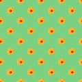 Calendulas yellow flowers on green background, vector seamless pattern background Royalty Free Stock Photo