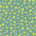 Winter Jasmine random repeat type vector pattern seamless background