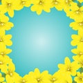 Winter Jasmine vector nature frame on bright blue background