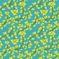 Yellow Winter Jasmine flower vine seamless vector pattern background