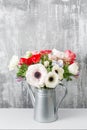 Winter flowers. Anemones in a vase watering can standing on a wooden table. On the background old gray wall art. copy Royalty Free Stock Photo