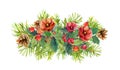 Winter flowers, fir tree, christmas mistletoe. Watercolor Royalty Free Stock Photo