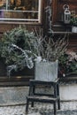 Winter flowers and wreath as Christmas decoration at flower shop Royalty Free Stock Photo