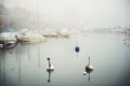 Winter fog on lake Geneva