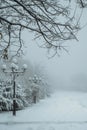 winter foggy landscape on an alley in park with lanterns and a bench in the snow in the fog Royalty Free Stock Photo
