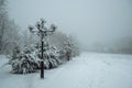 winter foggy landscape on an alley in park with lanterns and a bench in the snow in the fog Royalty Free Stock Photo