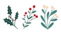 Winter foliage floral elements set: white berry mistletoe, holly berry branch. Festive Christmas flowers clip art in simple hand Royalty Free Stock Photo