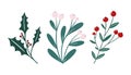 Winter foliage floral elements - set white berry mistletoe, holly berry branch. Festive Christmas flowers clip art in Royalty Free Stock Photo