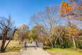 Winter foliage in Piedmont Park Atlanta GA USA Royalty Free Stock Photo