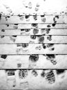 Winter Footprints Royalty Free Stock Photo