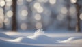 Winter foreground little snow and cozy beautiful bokeh with perfect light