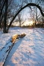 Winter in forest