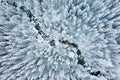 Winter forest aerial view. Snowy and frosty forest from above. Winter background