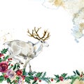 Winter forest animal Christmas watercolor backgroun. Wild reindeer illustration