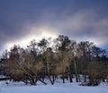 Winter forest on the background of storm clouds at sunset Royalty Free Stock Photo