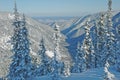 Winter forest baikal Royalty Free Stock Photo