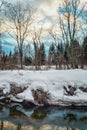 Winter forest on the banks of river with ice. Royalty Free Stock Photo