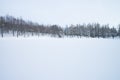 Winter forest with Beech trees and Pinophyta covered with white snow. Winter landscape. Winter scene in Italy Royalty Free Stock Photo